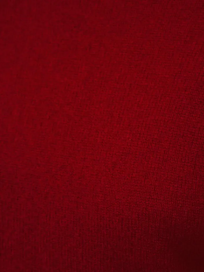 Cloud Cashmere Eldon Jumper Red Women Jigsaw Knitwear and Cashmere