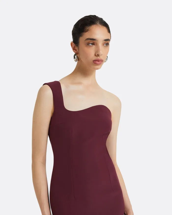 Dresses Safiyaa Women Banu Wine Long Dress Wine