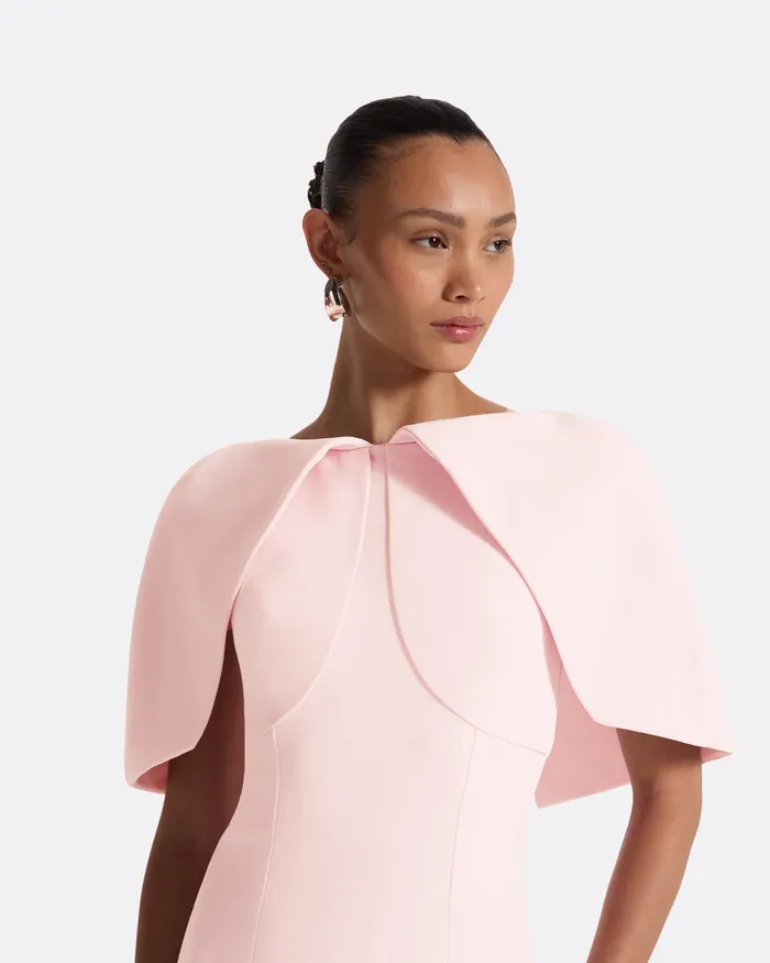 Dresses Women Safiyaa Barb Peony Blush Midi Dress Peony Blush