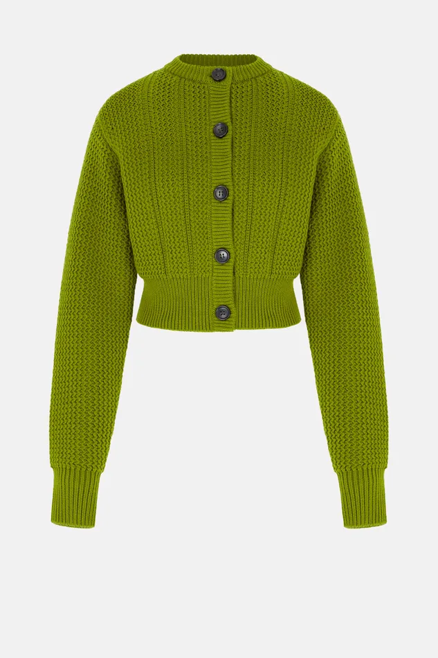 Emilia Wickstead Albert Knit In Green Cashfeel Women Knitwear