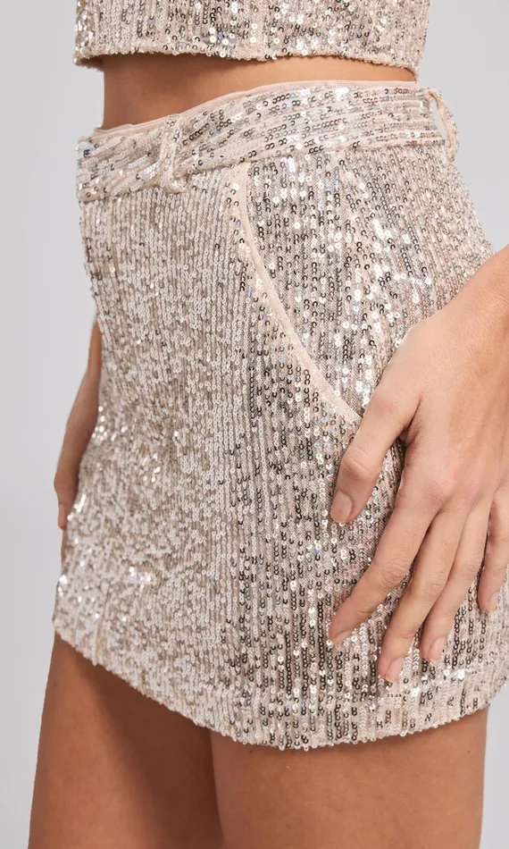 Generation Love Clothing Skirts Daphne Sequin Mini Skirt Silver 8211 Women
