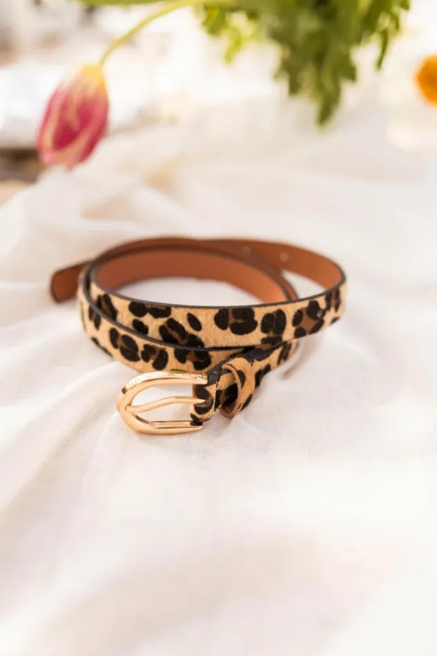 Jewelry and Accessories Belts Easy Clothes Leopard Dannya Belt Leopard Jewelry and Accessories Belts Easy Clothes Leopard Dannya Belt Leopard