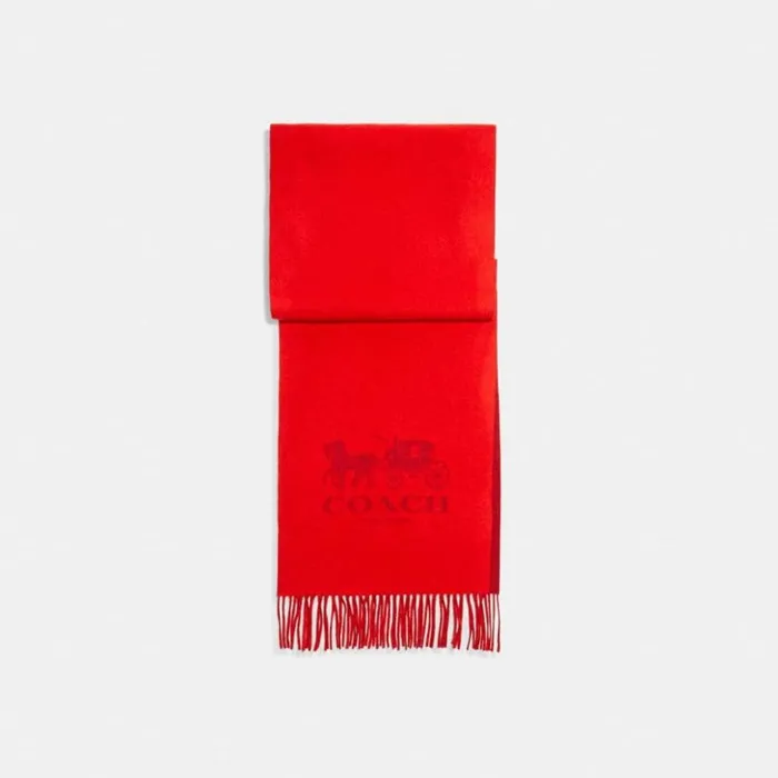 Men Signature Cashmere Scarf Sport Red Coach Hats Scarves and Gloves
