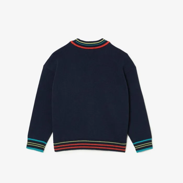 Sweaters and Sweatshirts Kids Lacoste Kids039 Cotton And Wool Blend VNeck Sweater Navy Blue White Qrn