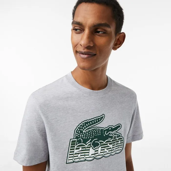 TShirts Men Lacoste Mens Cotton Jersey Print TShirt Grey Chine Cca
