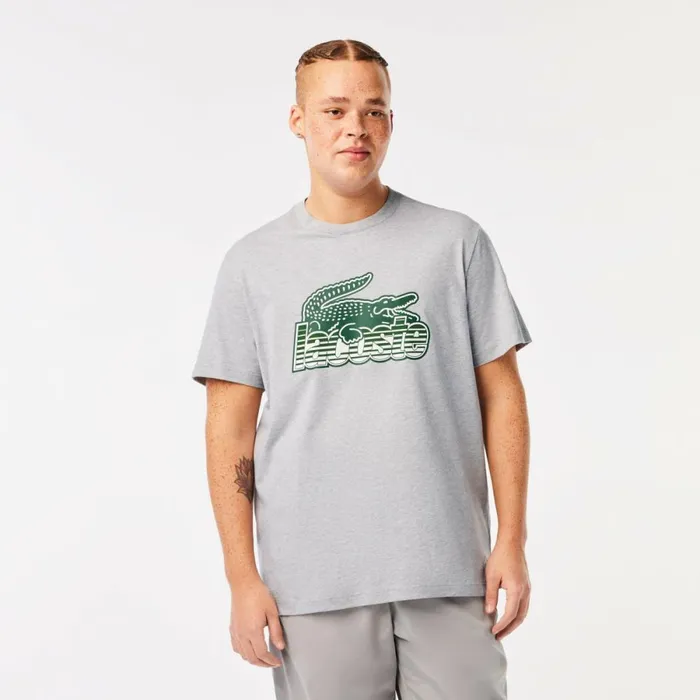 TShirts Men Lacoste Mens Cotton Jersey Print TShirt Grey Chine Cca