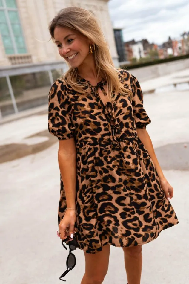 Women039s Clothing Dresses Easy Clothes Leopard Miras Dress
