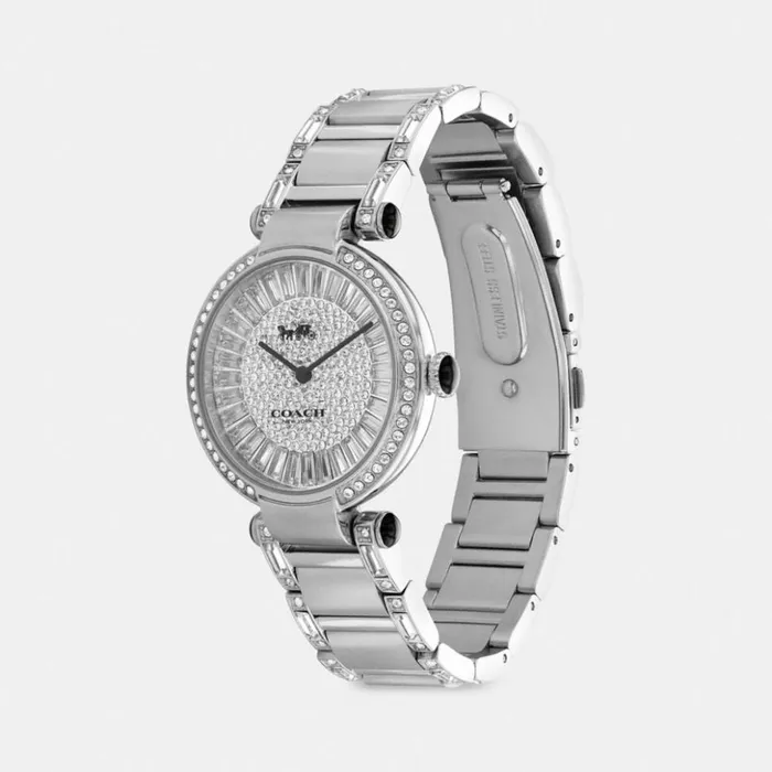 Women Cary Watch 34 Mm Stainless Steel Coach Watches