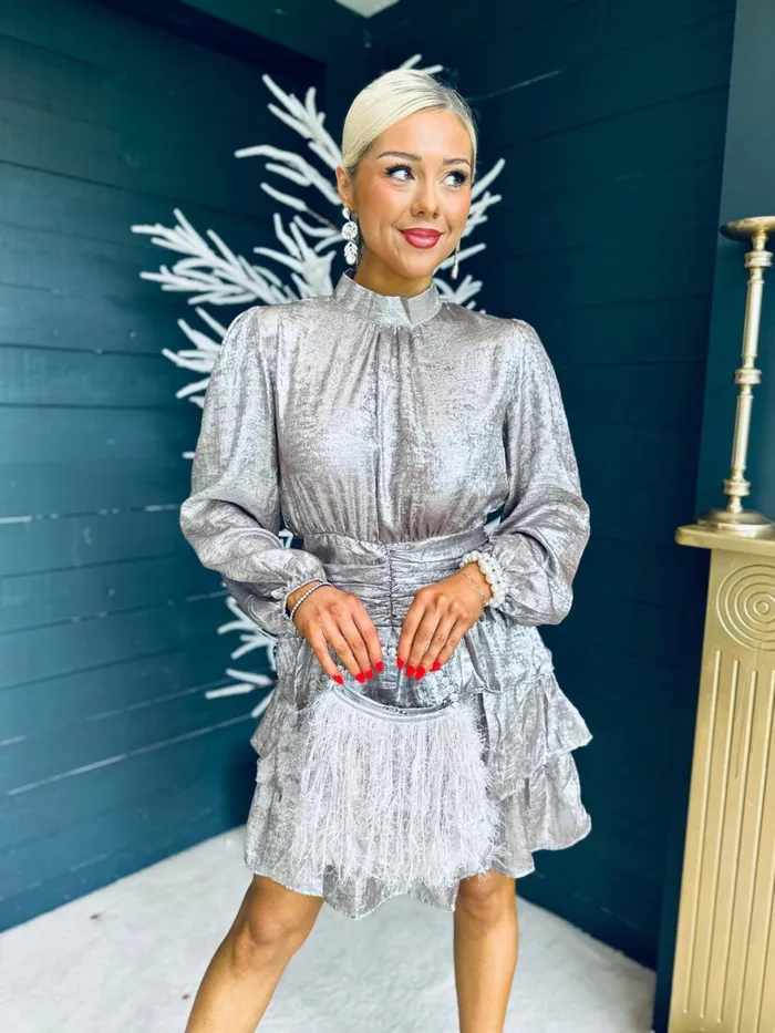 Women Day Dress Canella Lane Naomi Metallic Mini Dress MochaSilver