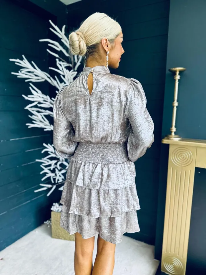 Women Day Dress Canella Lane Naomi Metallic Mini Dress MochaSilver