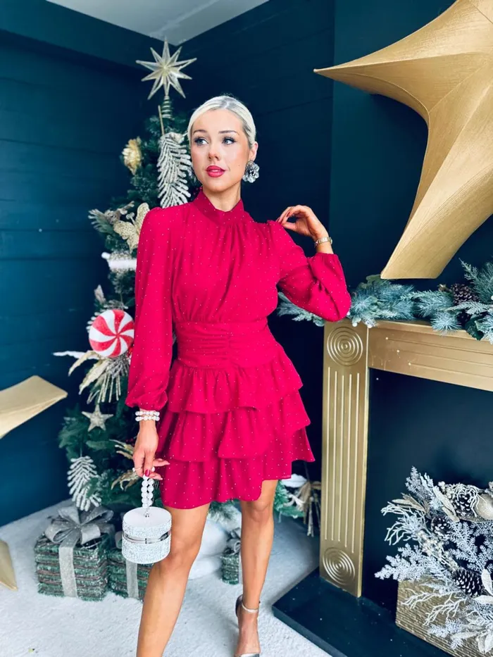 Women Day Dress Canella Lane Sally High Neck Mini Dress Ruby