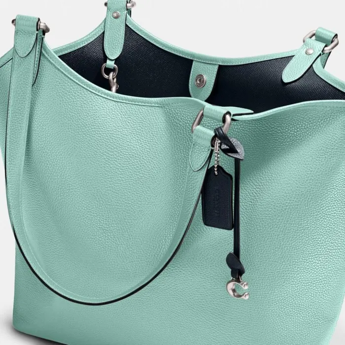 Women Day Tote Silverfaded Blue Coach Totes and Carryalls