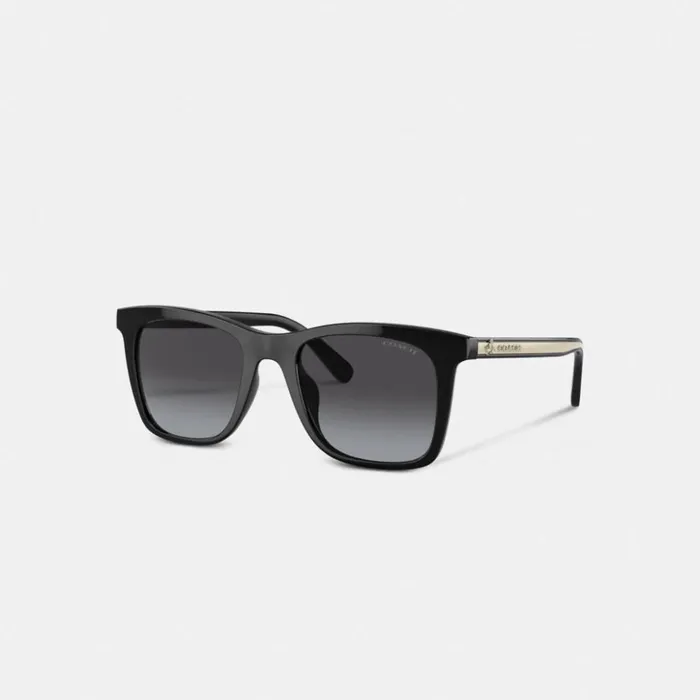 Women Disney X Coach Striped Square Sunglasses Blackivory Coach Eyewear
