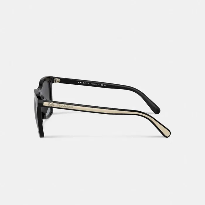 Women Disney X Coach Striped Square Sunglasses Blackivory Coach Eyewear Women Disney X Coach Striped Square Sunglasses Blackivory Coach Eyewear