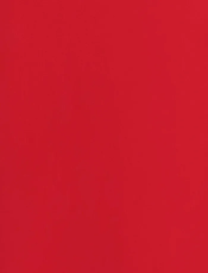 Women Evening Dresses and Gowns BCBG Red Beatrix Long Sleeve Gown Carmine Red