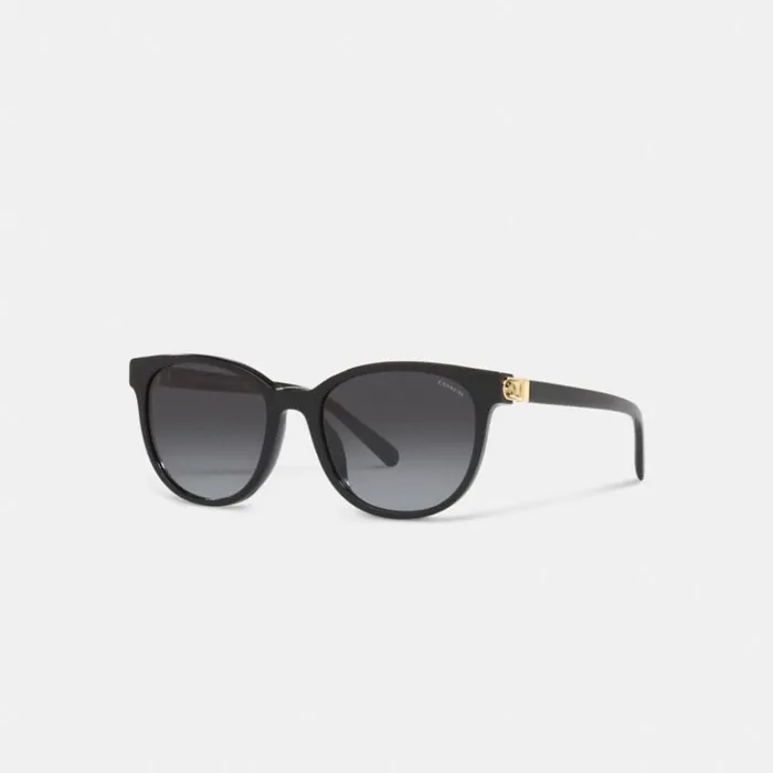 Women Horse And Carriage Round Sunglasses Black Coach Eyewear