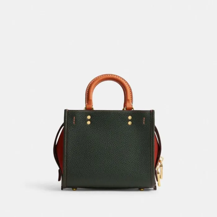 Women Rogue 20 In Colorblock Brassamazon Green Multi Coach Satchels and Top Handles