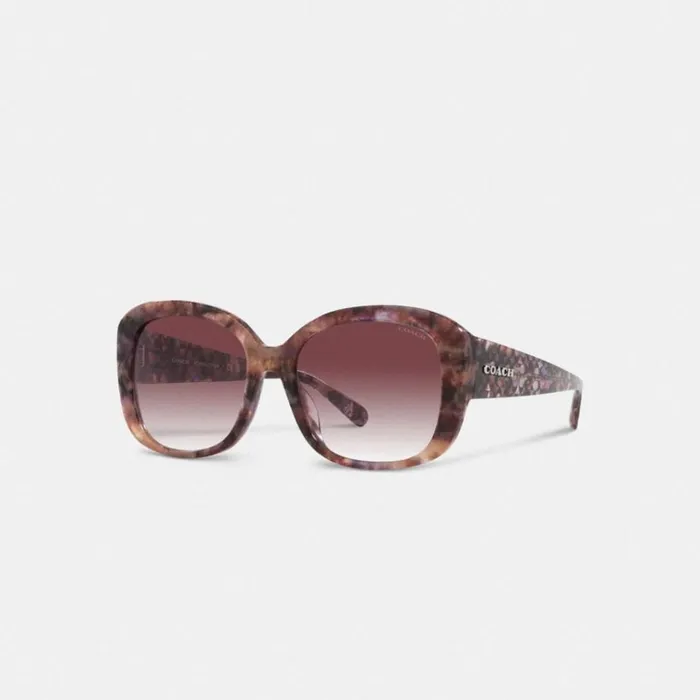 Women Signature Oversized Square Sunglasses Purple Tortoise Coach Eyewear