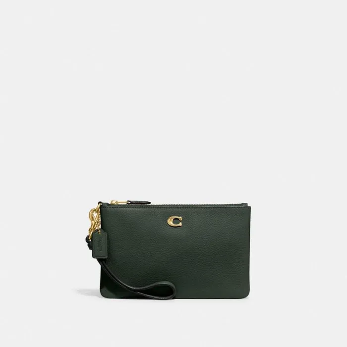 Women Small Wristlet Brassamazon Green Coach Wristlets