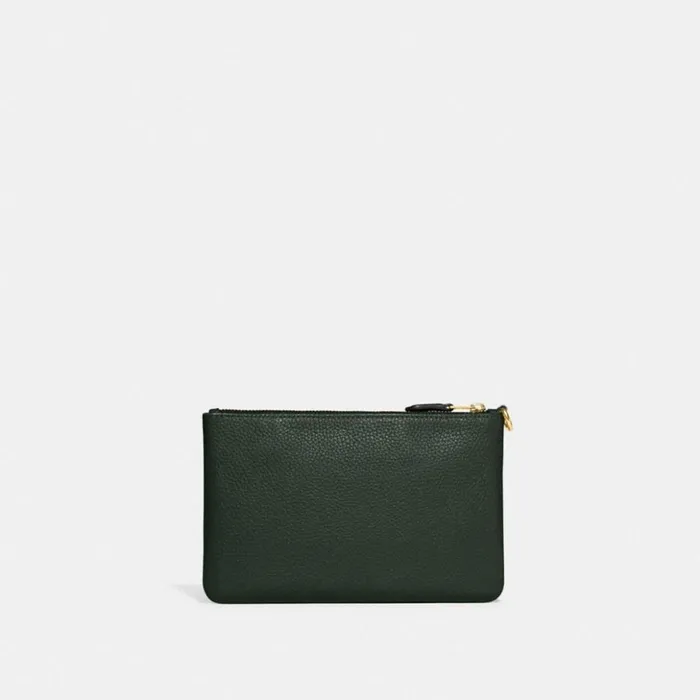 Women Small Wristlet Brassamazon Green Coach Wristlets