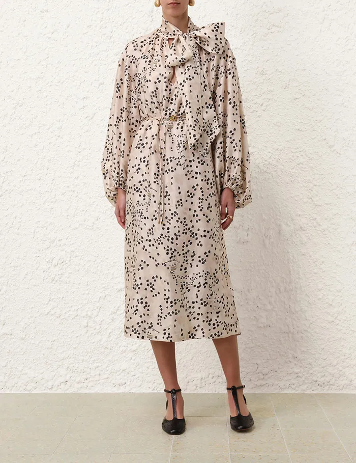 Women Zimmermann Clothing Illustration Billow Dress Dalmatian Dot