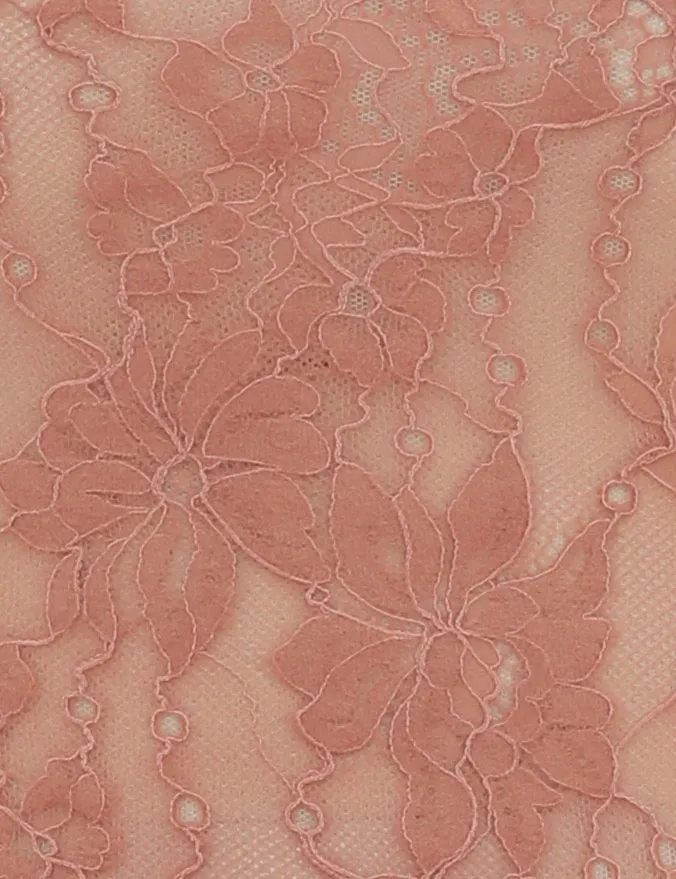 Women Zimmermann Tops Lace Bodysuit Blush